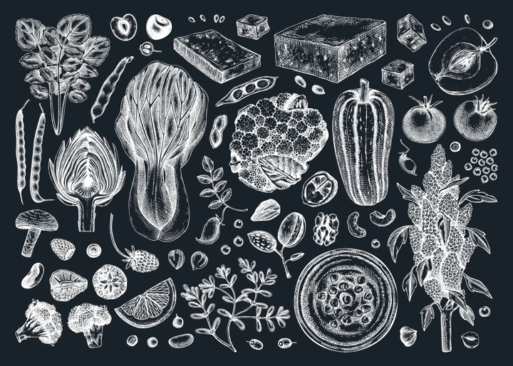 Vegan food illustrations set on chalkboard. Healthy food illustrations. Hand-drawn vegan meals and ingredients for menu, recipe, packaging design. Vegan food, nuts, seeds, fruits, veggies, tofu sketch